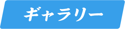 ギャラリー