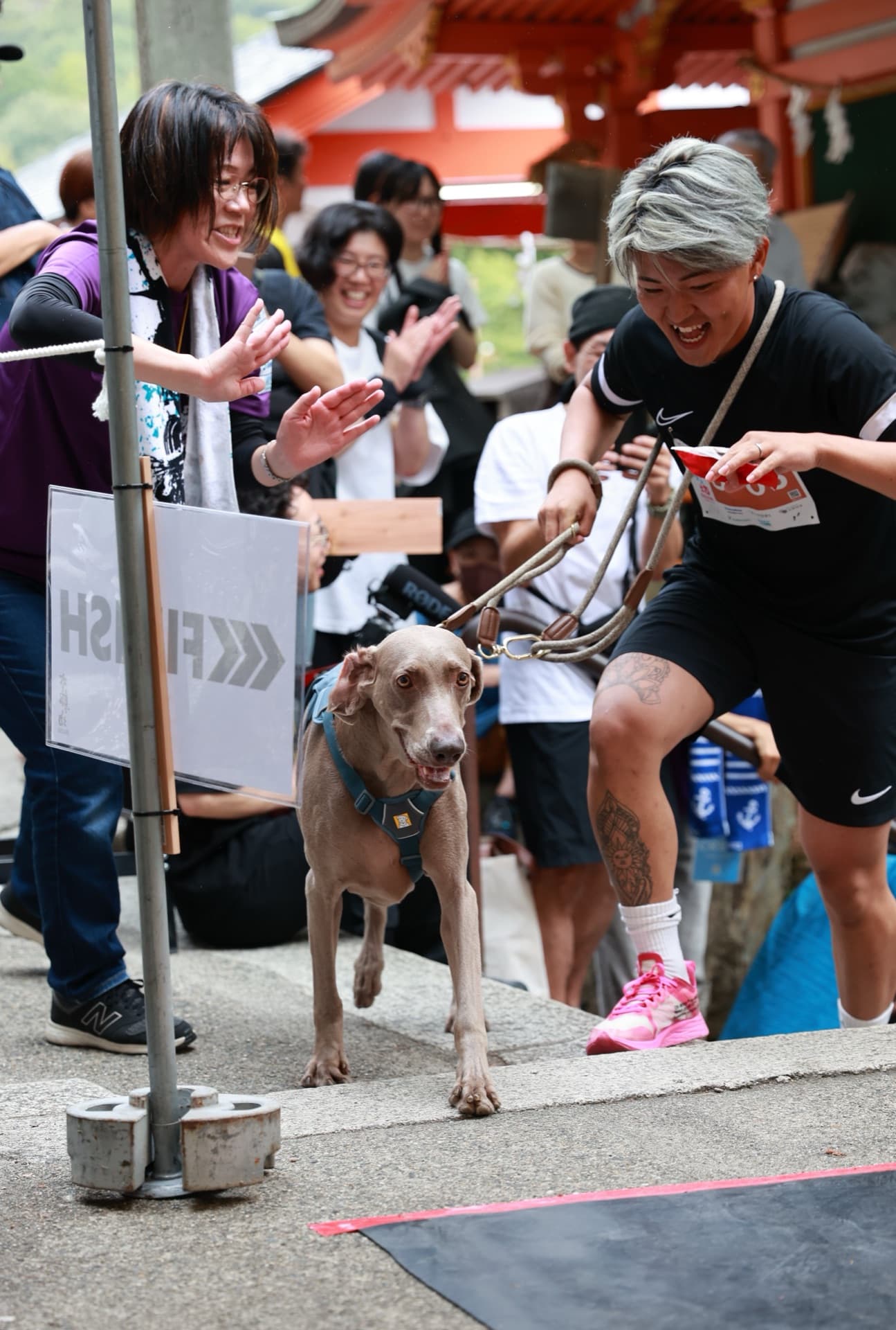 愛犬と一緒に走るドッグペアカテゴリ